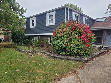 A large shrub and landscape wall to be removed from front of house.