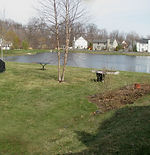 A link to Fence Removal page.