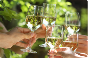 white_wine_toast.png