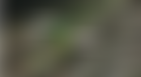 Private Roads Reseal