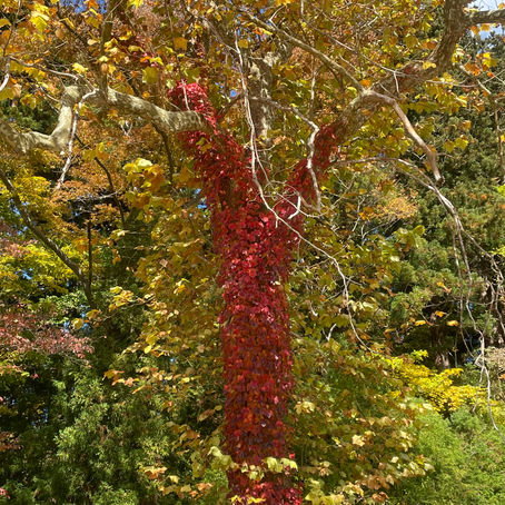 事前講習会でしたが