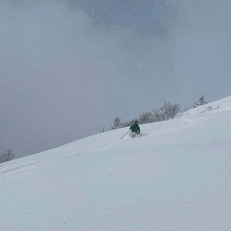 よく降りましたが