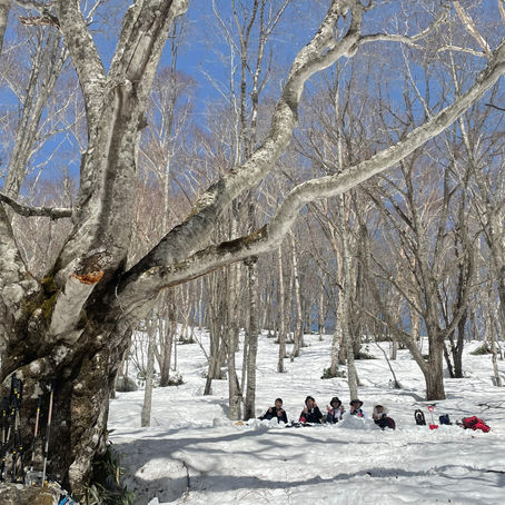 春の陽気と雪遊び