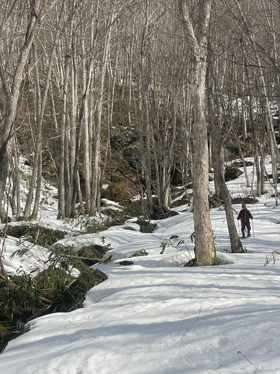 山歩きとしてのスノーシュー