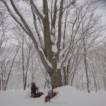 モノトーンな世界