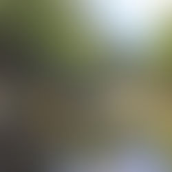 ハイクしてパドルする