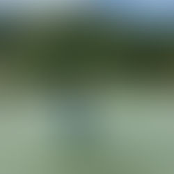 10年越しのコンプリート