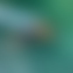 漕いでは浸かって