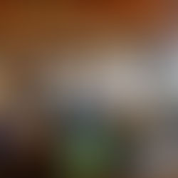 危険生物対応研修会