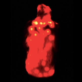 Thumbnail: Red Fur Light Up Coat - Flames Interior