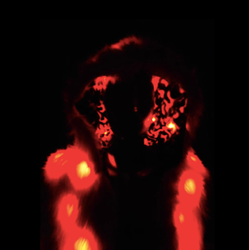 Thumbnail: Red Fur Light Up Coat - Flames Interior