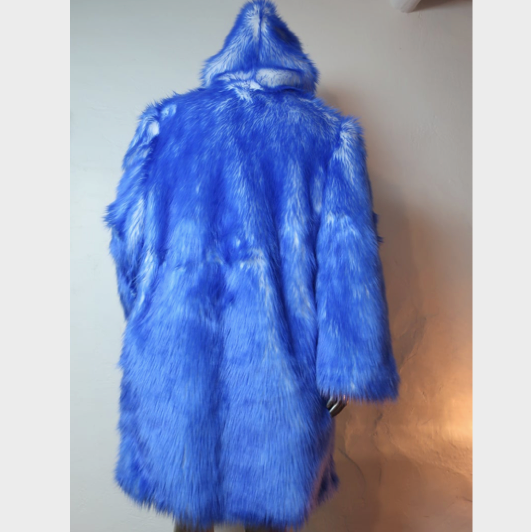 Thumbnail: Light up Coat - Artist Interior - FreeRolando #1