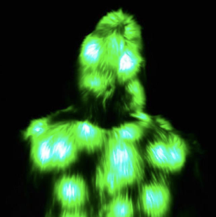 Thumbnail: Light Up Faux Fur Coat - Green Faux Fur LED Coat