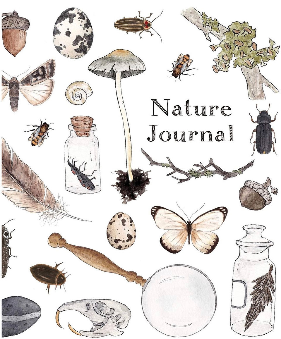 Nature Journal for Kids