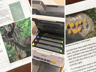 The Printer That's Survived 2 Years of Homeschool Chaos (And I'd Buy It Again Tomorrow)