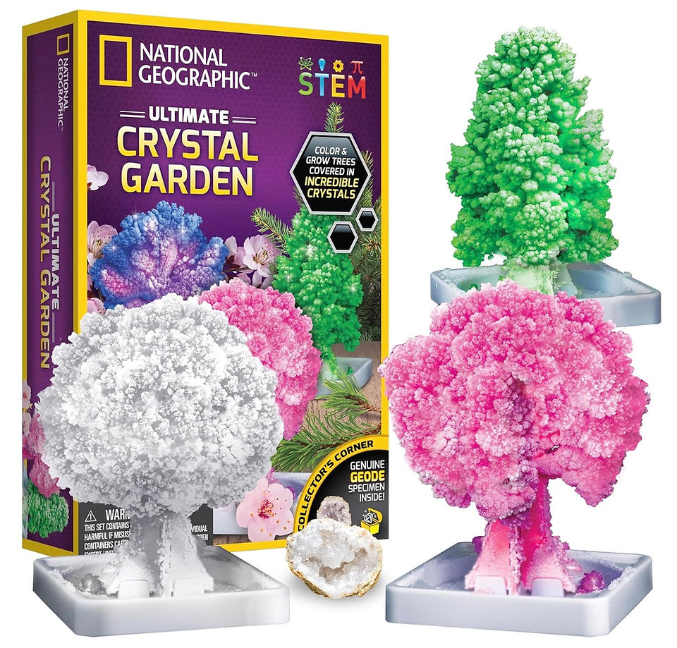 Crystal Growing Kit