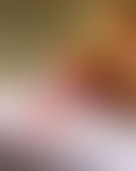 Mañana nuestro periódico será evaluado