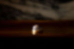 wedding rings displayed together in warm light
