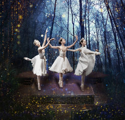 digital image illustration