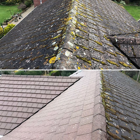 Storm Property Services - Roof cleaning
