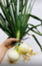 Walla Walla Onions