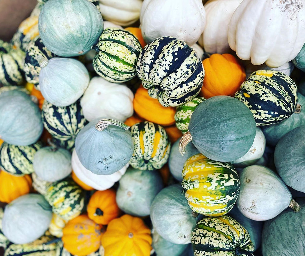 Winter Squash