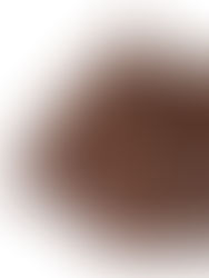 De Mode-update van 2026: Ontdek de Nieuwe Lente/Zomercollecties