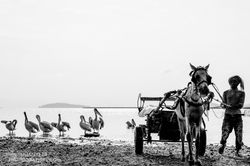 Les grands lacs de la vallée du Rift