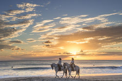 Photos_végétation_et_paysages_Costa_Rica_et_Nicaragua_(20_sur_137)