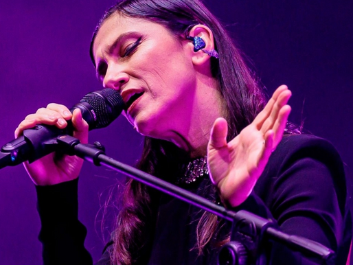 Show de Elisa ganha espaço na televisão