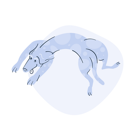 Artboard 11 copy 4.png