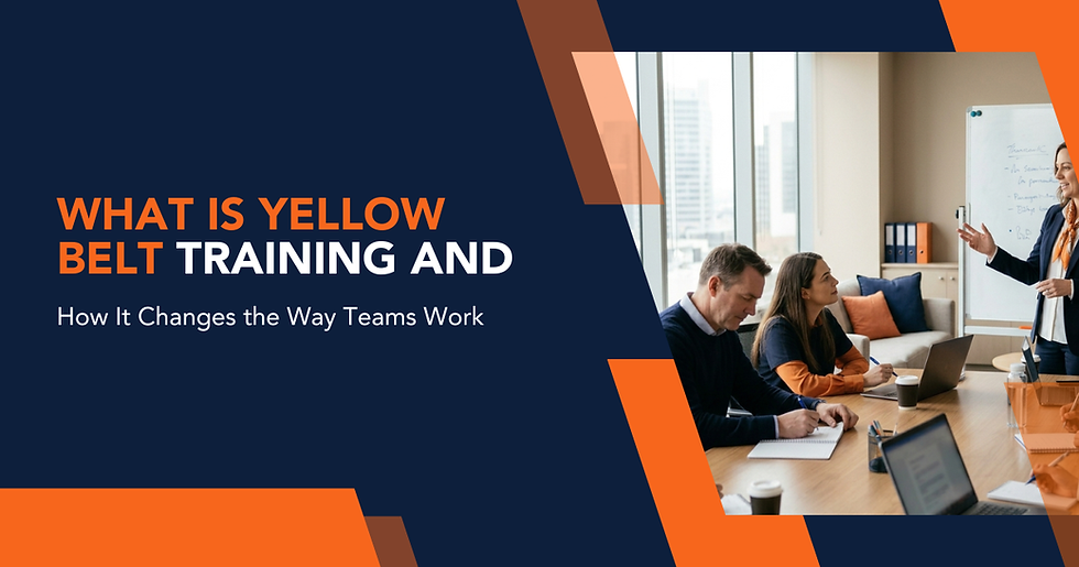 Professional Lean Six Sigma Consulting programme supporting process improvement skills.