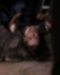 youth actor in our production of Oliver