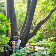 Melbourne Botanical Gardens - Austrálie.