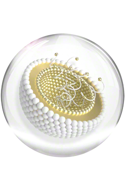 Professional skincare by Valmont. Skincare product of dreams, improves skin texture, deeply hydrates, used in the best facial treatments in London for better skin hydraton, wrinkle reduction and tranquil facial spa experience