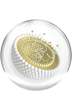 Professional skincare by Valmont. Skincare product of dreams, improves skin texture, deeply hydrates, used in the best facial treatments in London for better skin hydraton, wrinkle reduction and tranquil facial spa experience 