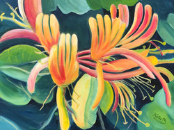 Garden Blooms - Kate Brown