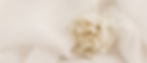 kerri-shaver-xepikEyPgmI-unsplash_edited.jpg