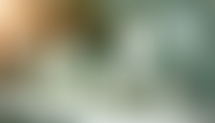 Unmissable Amazon Prime Day Deals July 2025 Save on Beauty Home and Garden Essentials