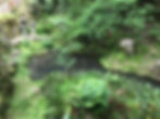 japanbackground_edited.jpg