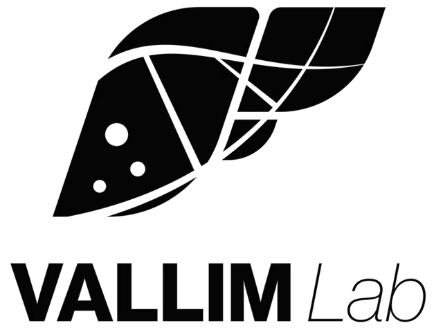 Logotipo del Laboratorio Vallim. Ilustración minimalista de un hígado en negro, con líneas negativas que recuerdan la estructura del ADN y tres pequeñas esferas que hacen referencia a elementos geométricos del logo del Laboratorio Tarling. Debajo se lee 'Vallim Lab'.