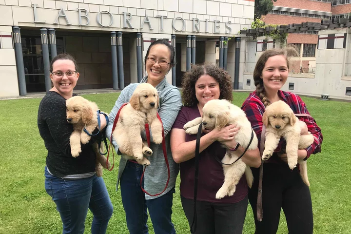 Lab group holding puppies.