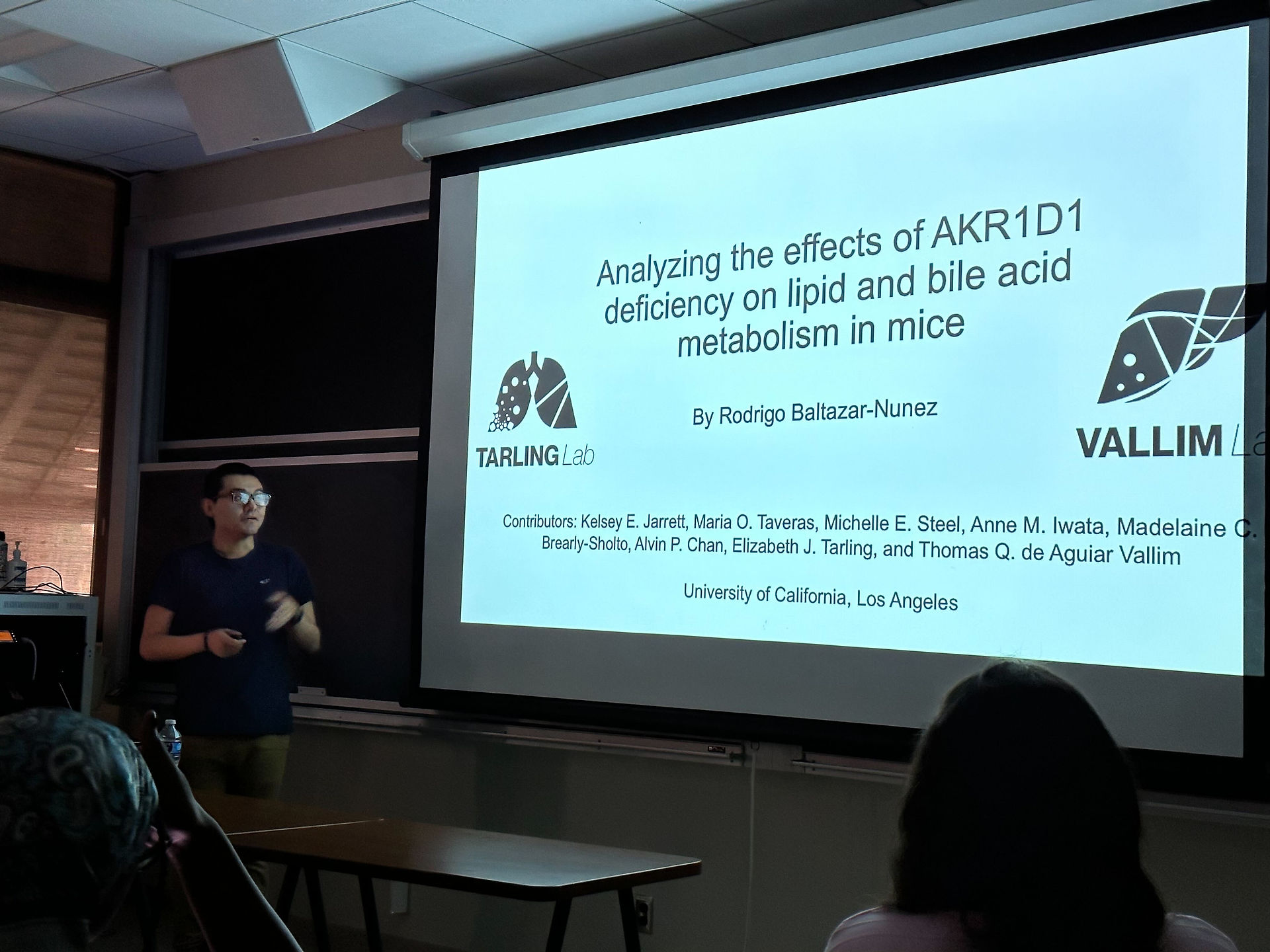 Rodrigo, con camisa negra y gafas, está detrás de una mesa y comienza su presentación, mirando una diapositiva proyectada titulada "Analyzing the effects of AKR1D1 deficiency on lipid and bile acid metabolism in mice".