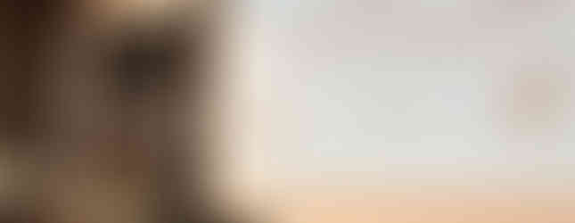 Min stands behind a table, looking at a projected slide titled "Dissecting post-transcriptional regulation in macrophages during inflammatory response". She wears black pants, a white t-shirt, a wool vest, and has black hair with blonde tips.