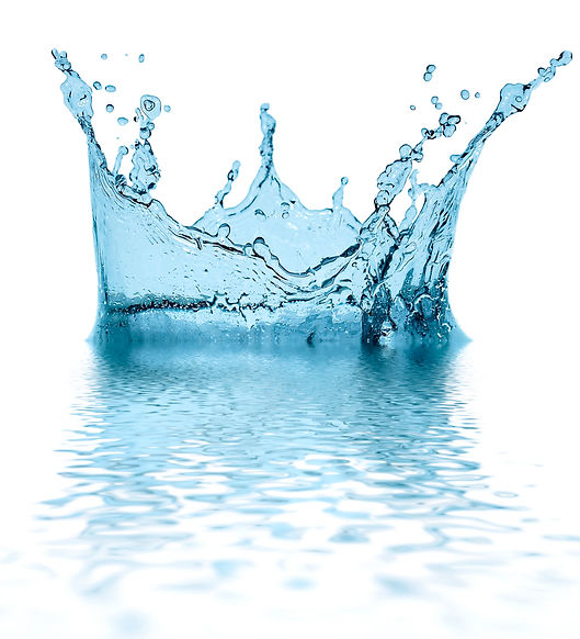 Shotshop_1319170.jpg