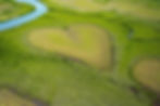 ree