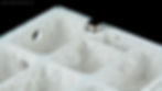 Thumbnail: Close-up of porous substrate zones separated by walls