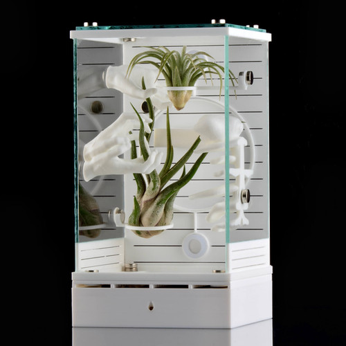 AeroVent Spider Enclosure Kit | Habitat Set for Jumping Spiders