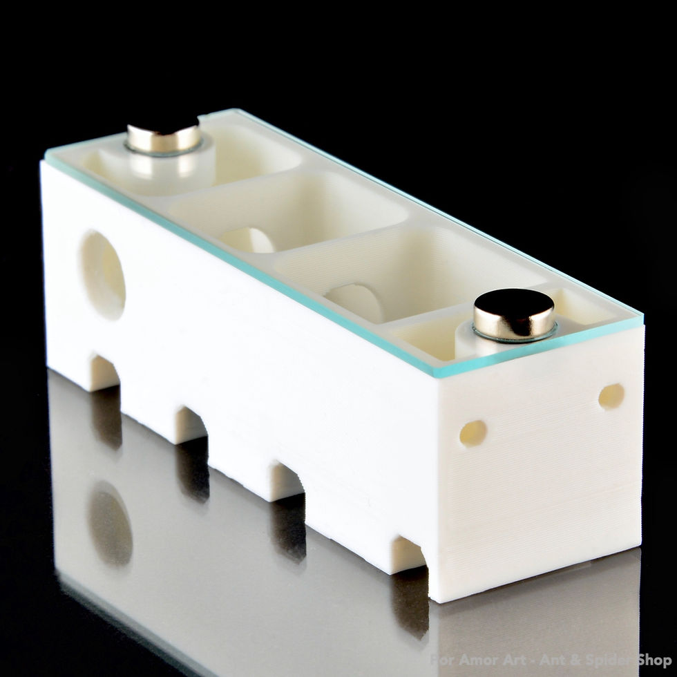 Thumbnail: The Apartment V2 - Small founding chamber for a queen ant or a small ant colony.