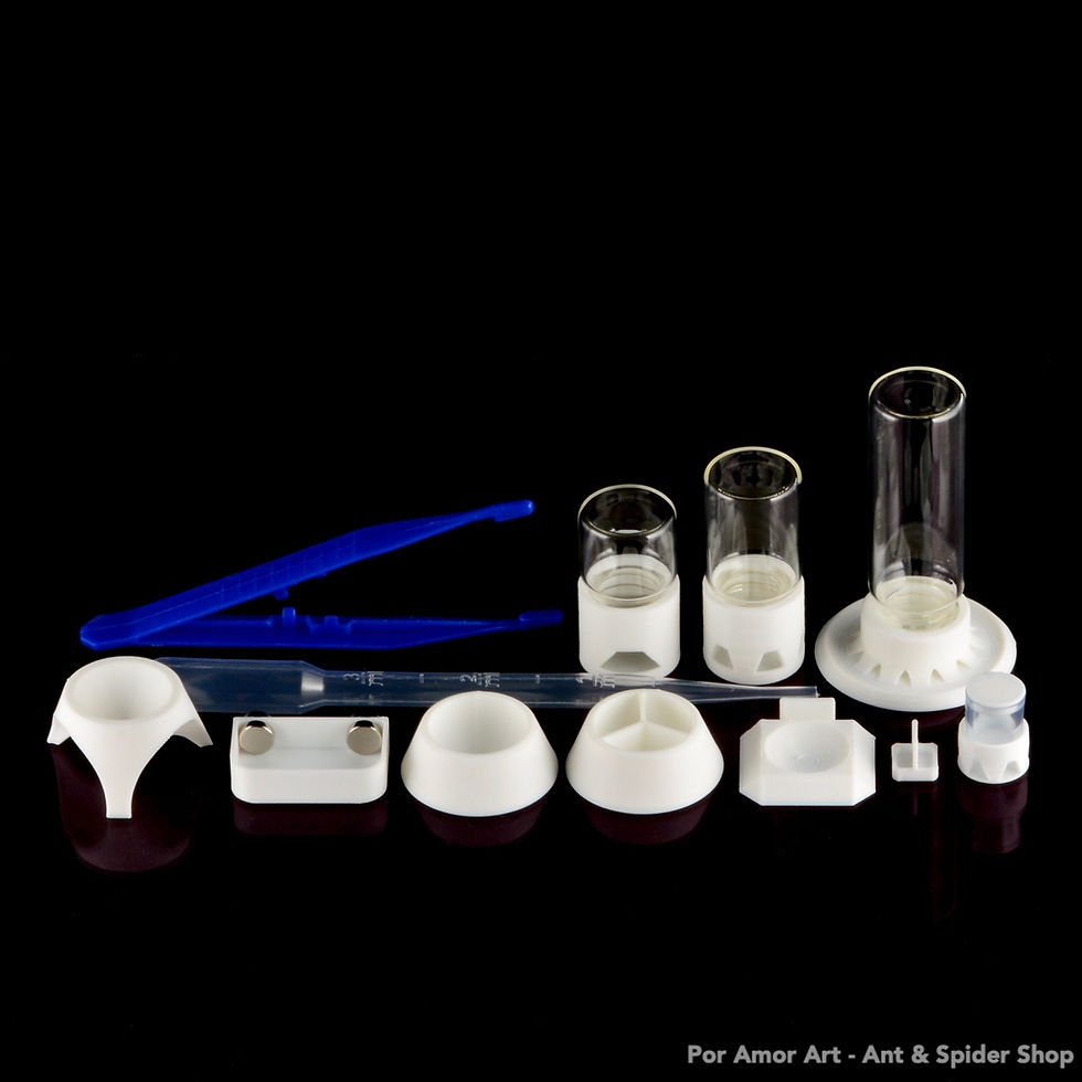 Thumbnail: Accessories Kit Only for Ant Feeding